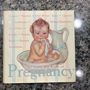 The little big book of pregnancy